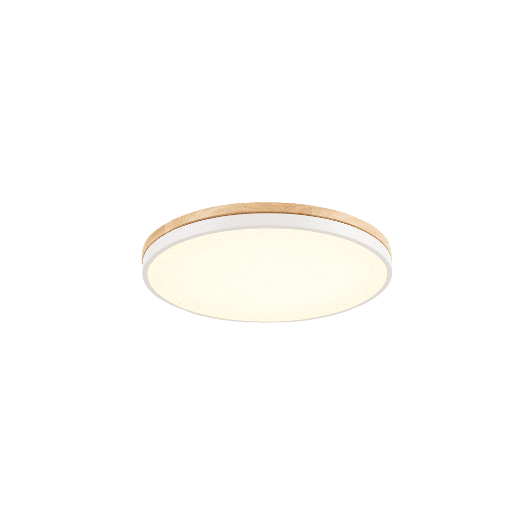 Prancheta 1 cópia 13